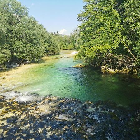Apartma Neva Bohinji-tó Kültér fotó