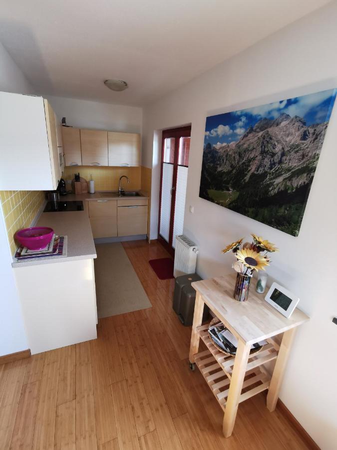 Apartma Neva Apartman Bohinji-tó Kültér fotó