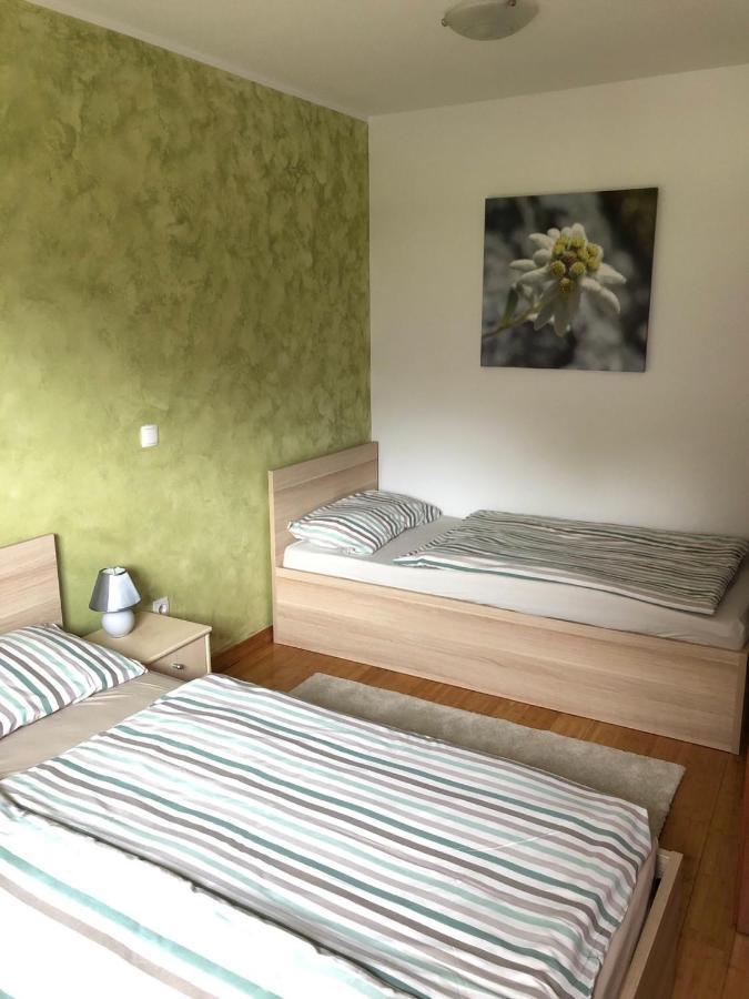 Apartma Neva Apartman Bohinji-tó Kültér fotó