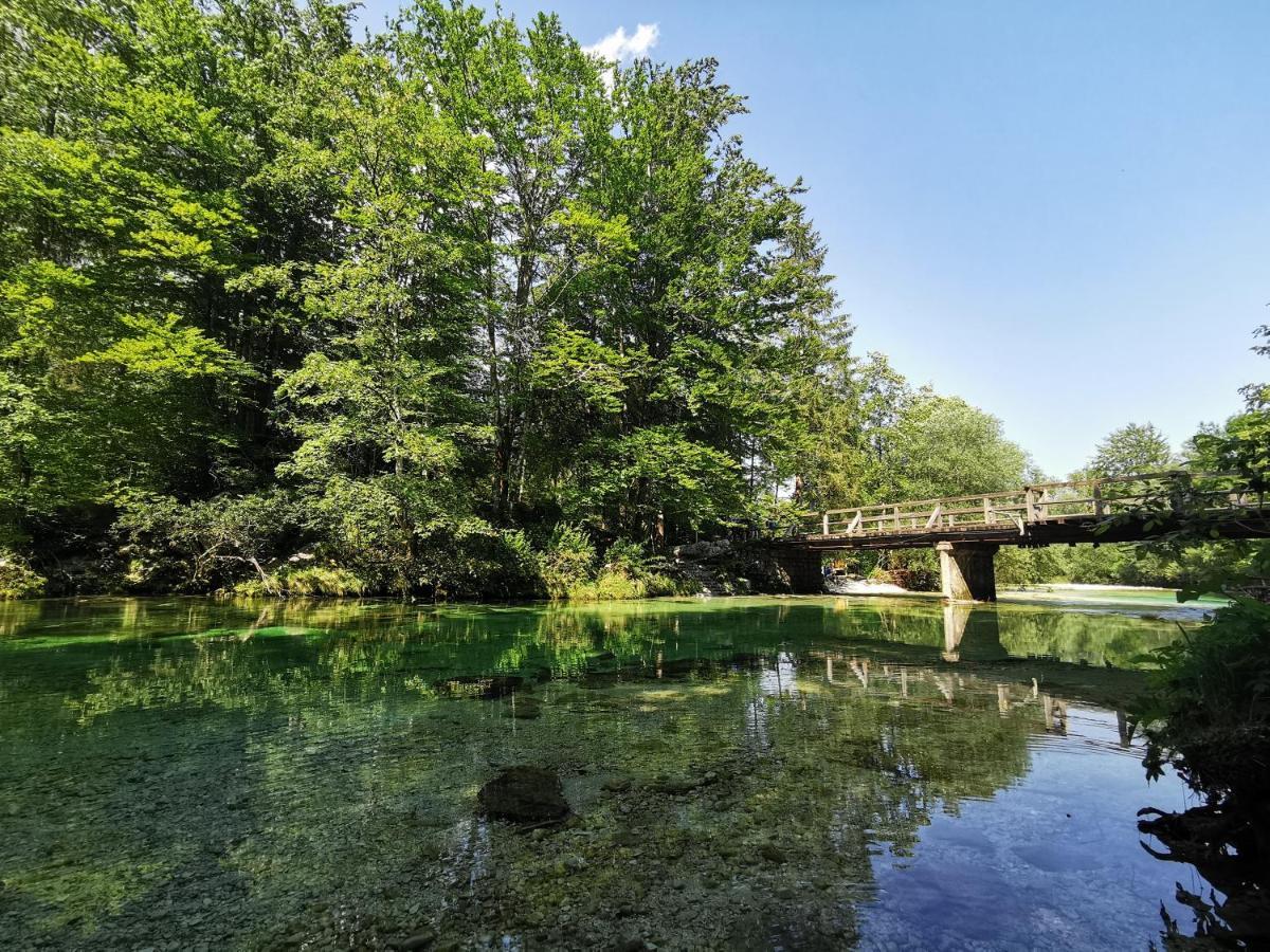 Apartma Neva Bohinji-tó Kültér fotó