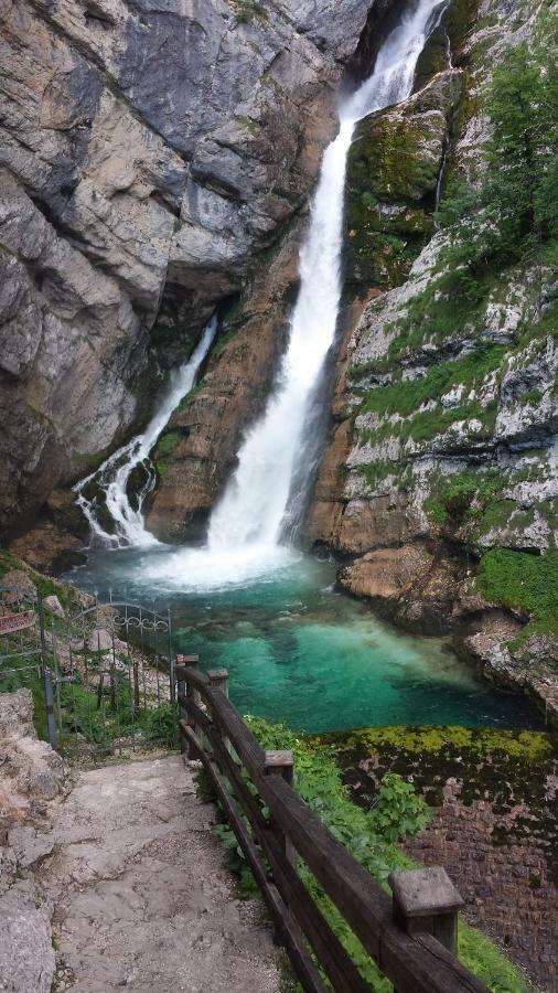 Apartma Neva Bohinji-tó Kültér fotó