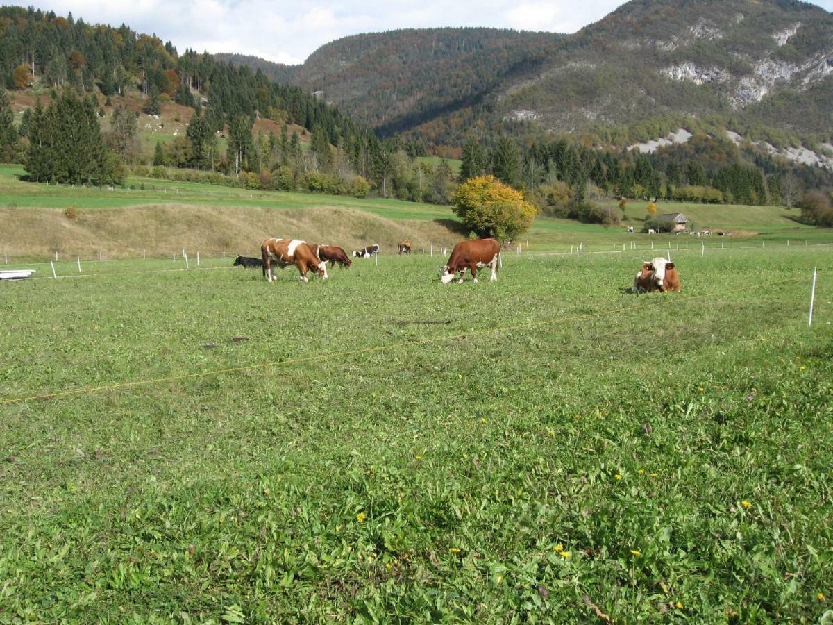 Apartma Neva Apartman Bohinji-tó Kültér fotó