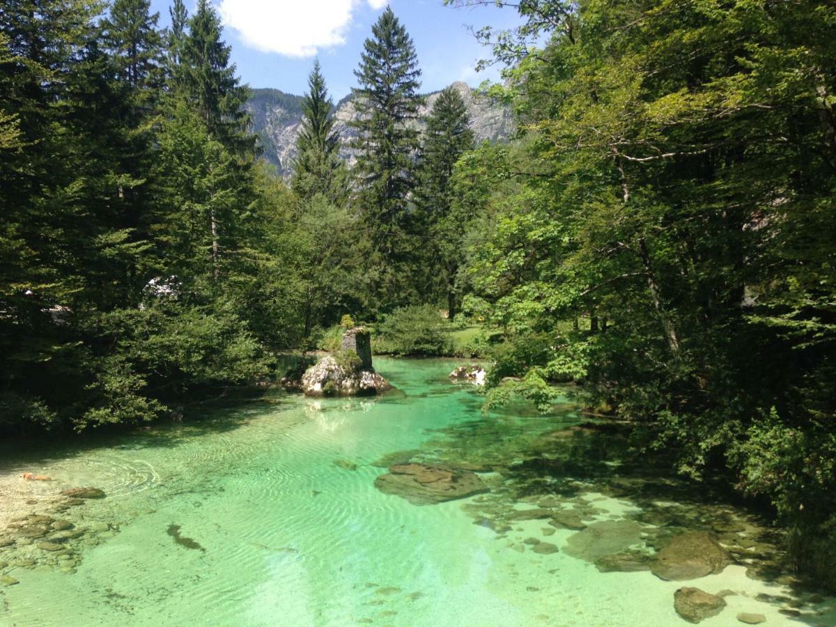 Apartma Neva Bohinji-tó Kültér fotó