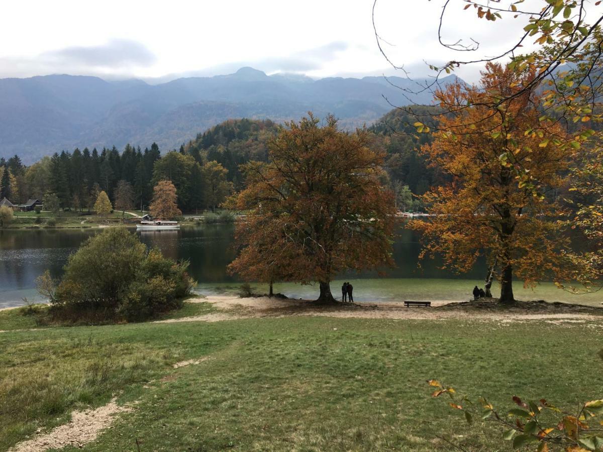 Apartma Neva Bohinji-tó Kültér fotó