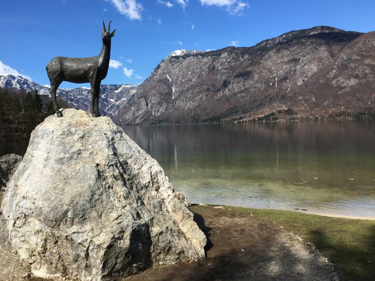 Apartma Neva Bohinji-tó Kültér fotó